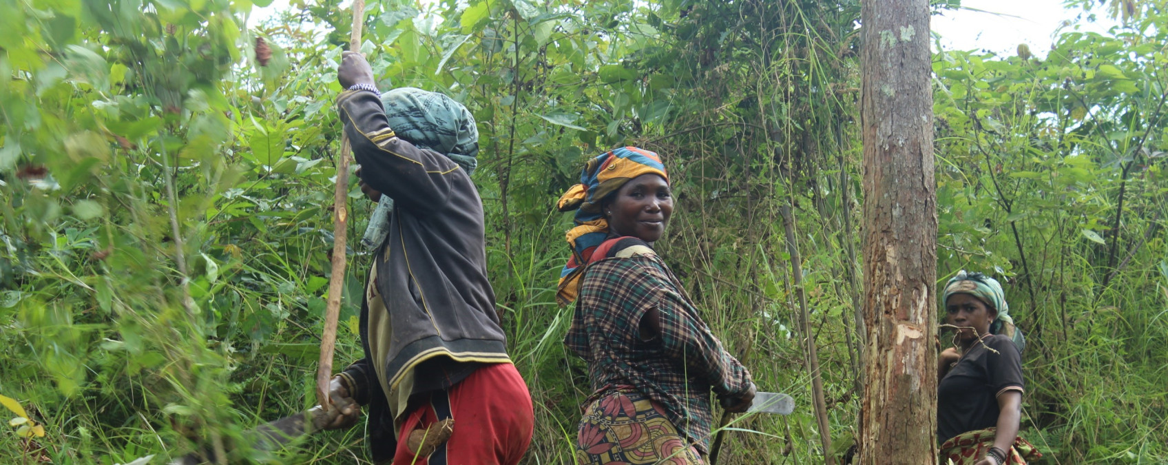 A Community-Driven Approach to Fighting Malnutrition in DR Congo