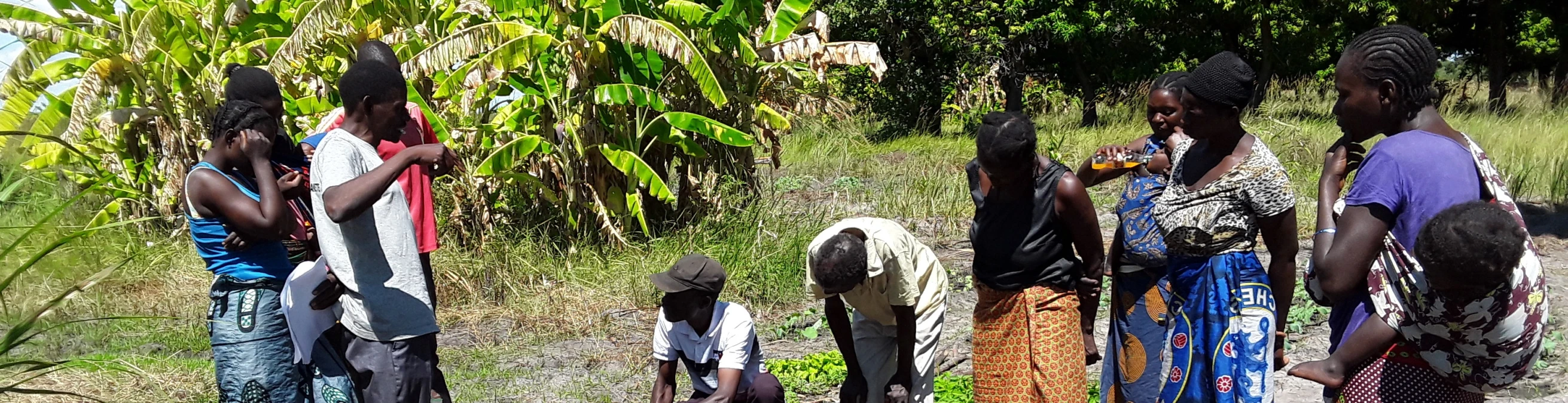 Educating Agents of Nutrition in Zambia 