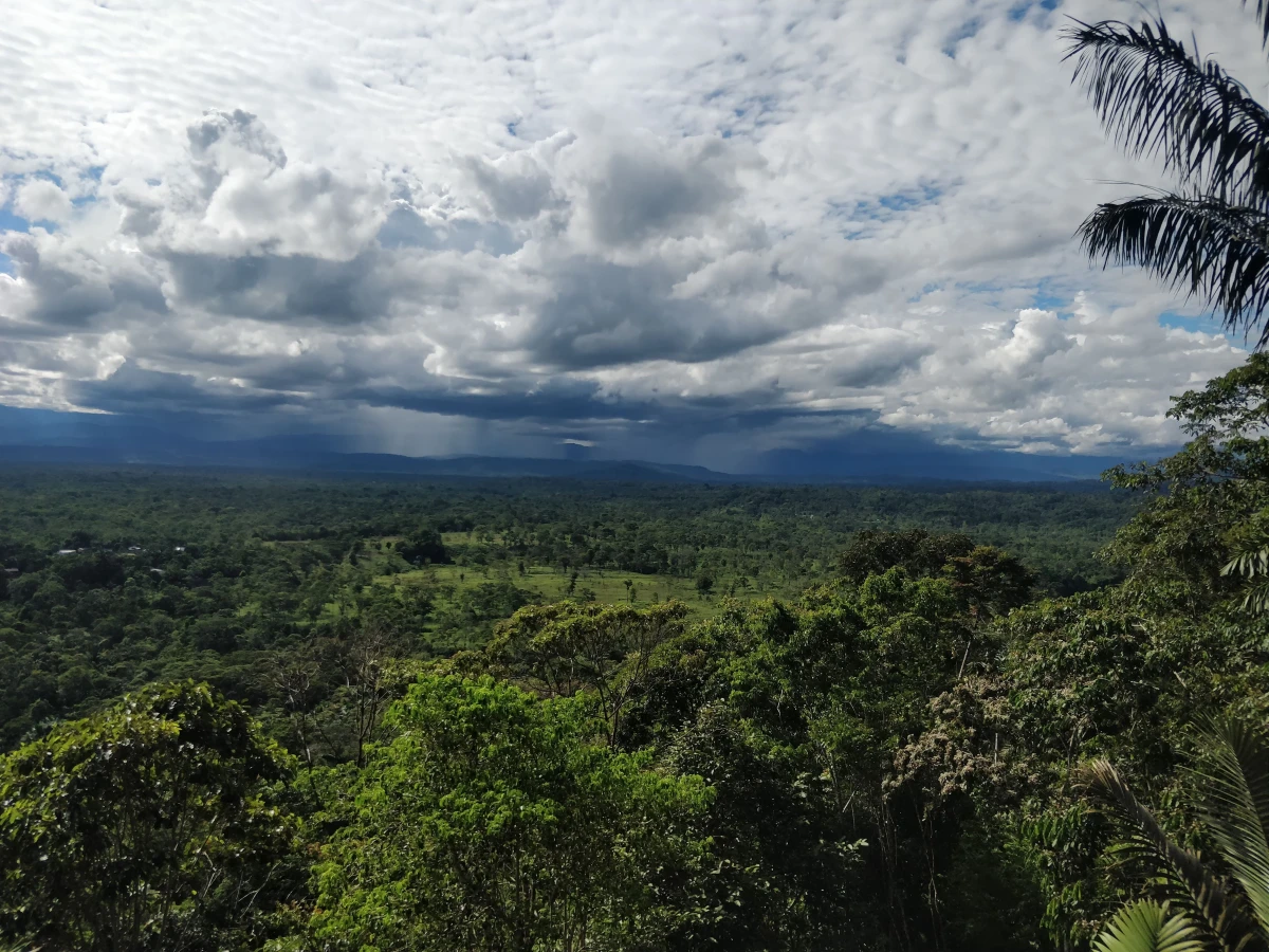 COVID-19 and indigenous communities of Ecuador 