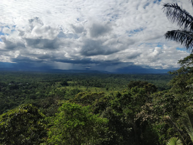 COVID-19 and indigenous communities of Ecuador 