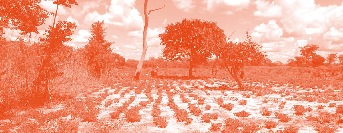 Helping people adapt to a changing environment