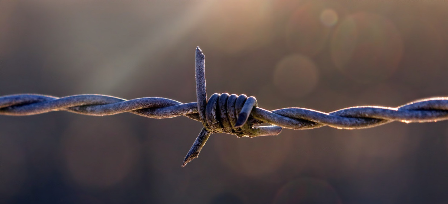 Statement: Vietnam, Move Beyond Repression