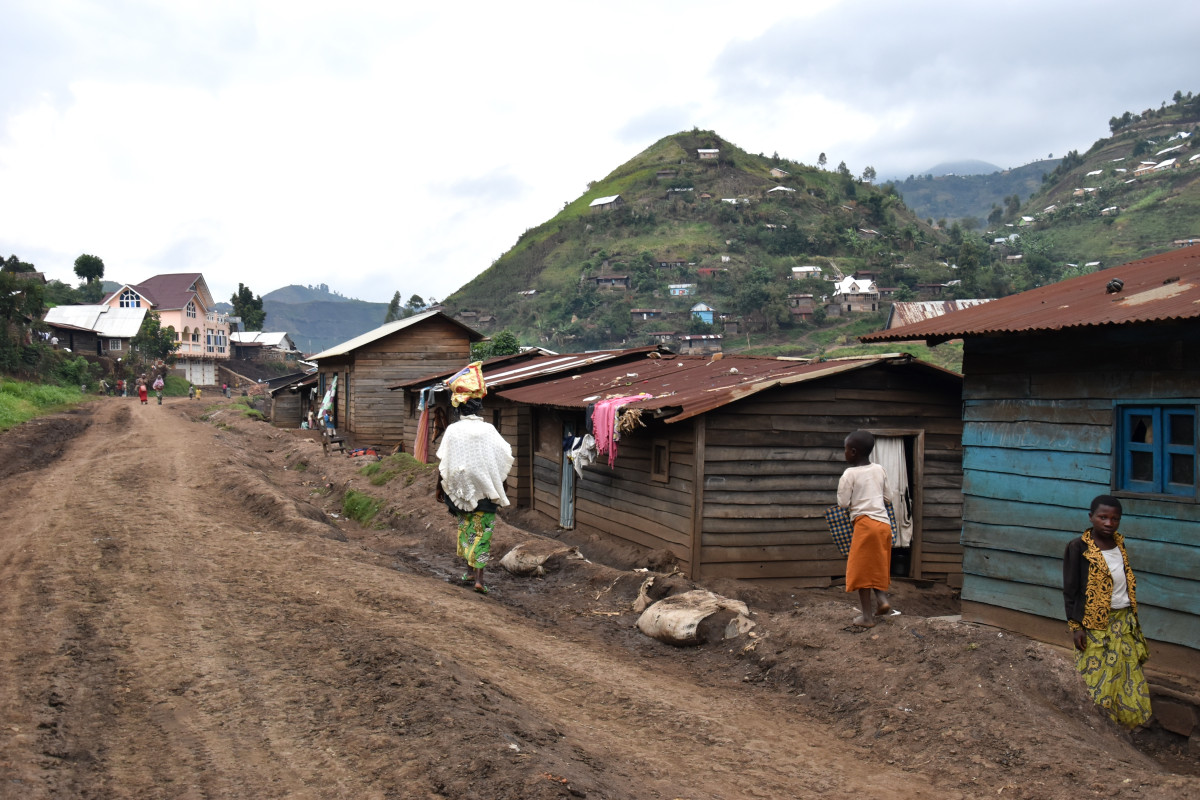 European Commisioner was pleased with project of PIN in DRC