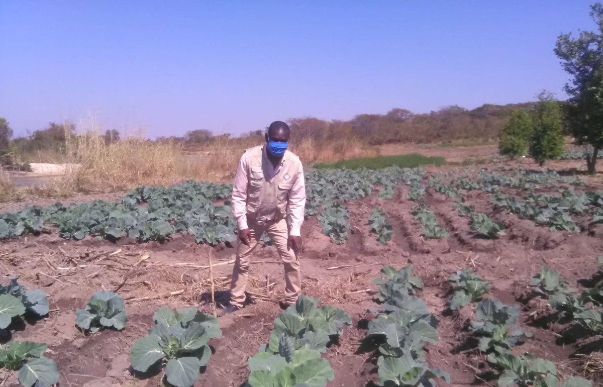 In their own words: An Angolan aid worker’s COVID-19 playbook