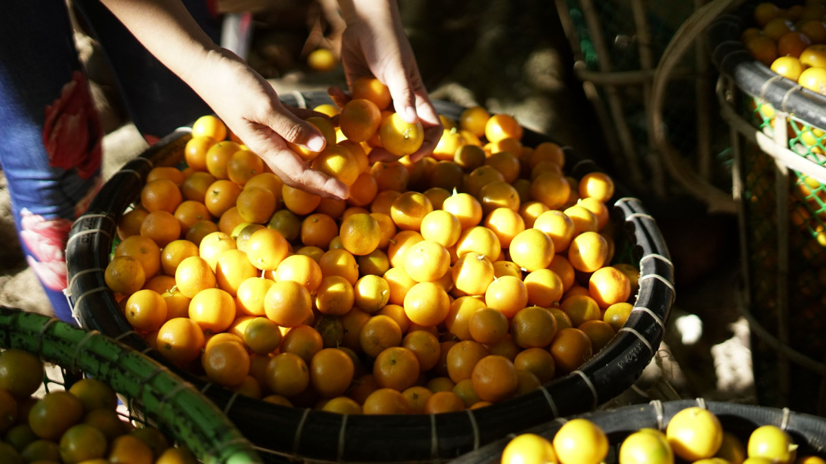 Four stories of small business resilience in the Philippines
