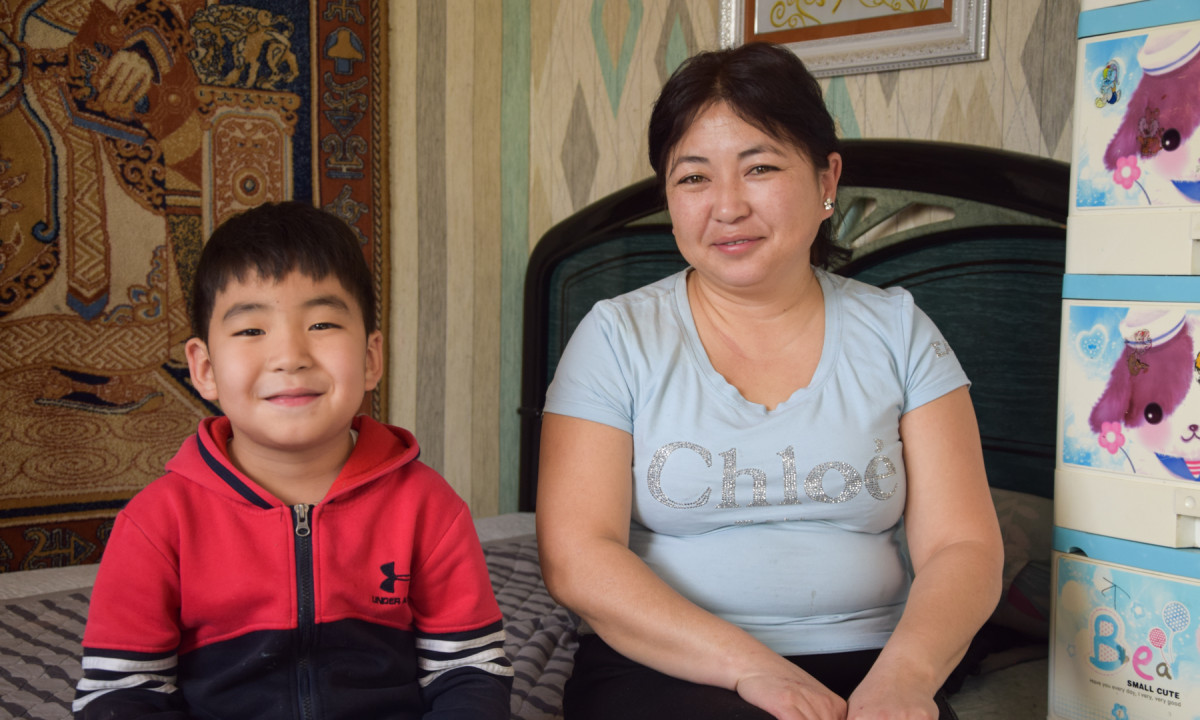 Tackling air pollution in Ulaanbaatar with smart energy efficient solutions