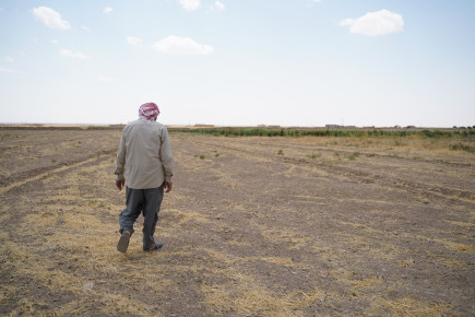 Water crisis and drought threaten more than 12 million in Syria and Iraq