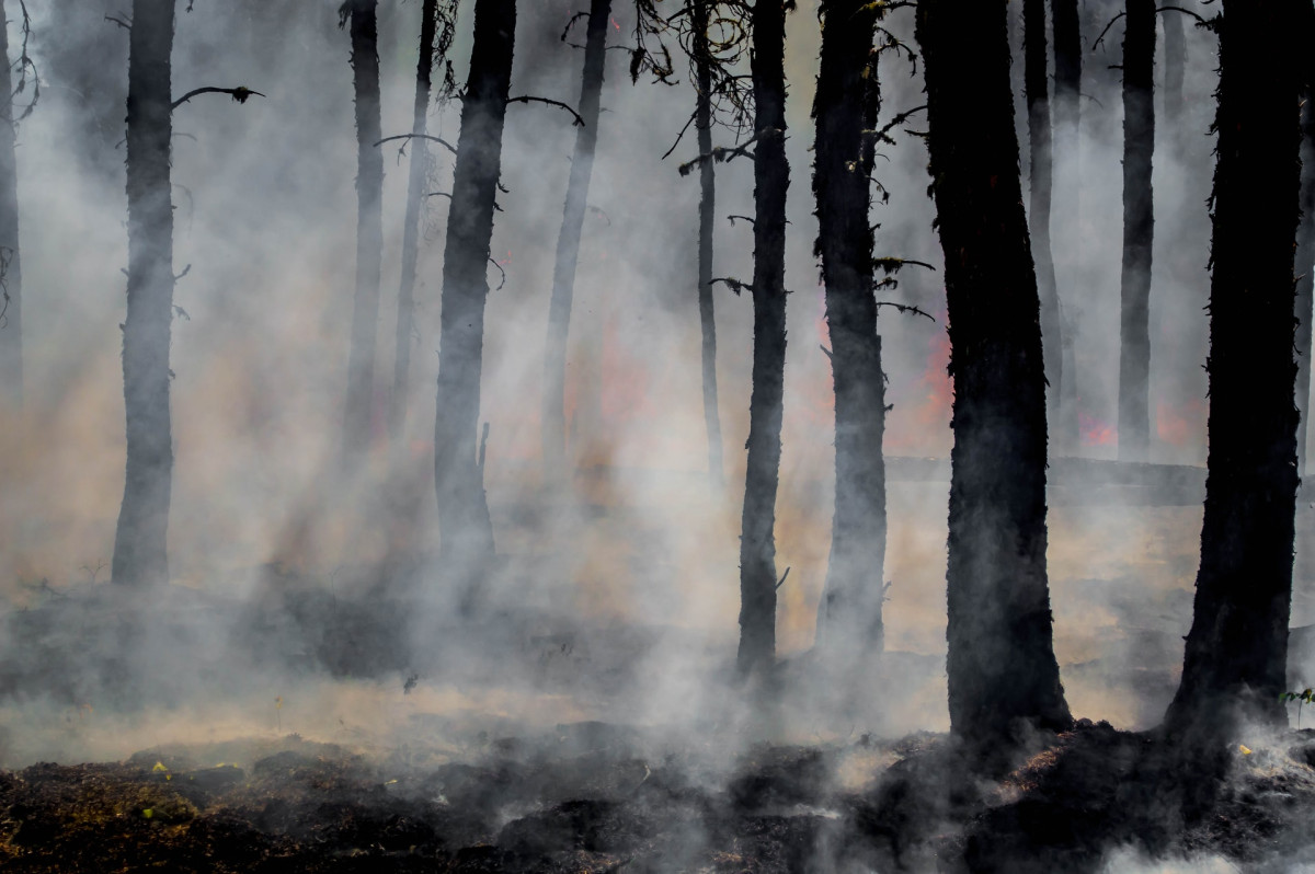 WE KNOW OTHER RISKY PLACES WHERE FORESTS COULD BURN, NOT JUST IN HŘENSKO, SAYS JAKUB ZELENÝ, ENVIRONMENTAL ADVISOR TO PEOPLE IN NEED