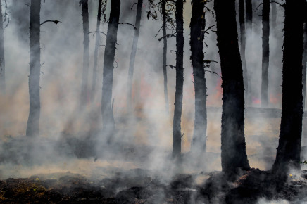 WE KNOW OTHER RISKY PLACES WHERE FORESTS COULD BURN, NOT JUST IN HŘENSKO, SAYS JAKUB ZELENÝ, ENVIRONMENTAL ADVISOR TO PEOPLE IN NEED