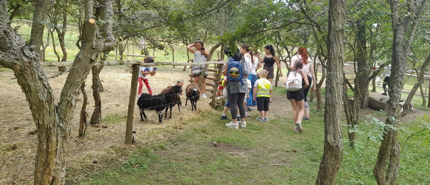 Petting Zoo - Obůrka Podháj Třebichovice