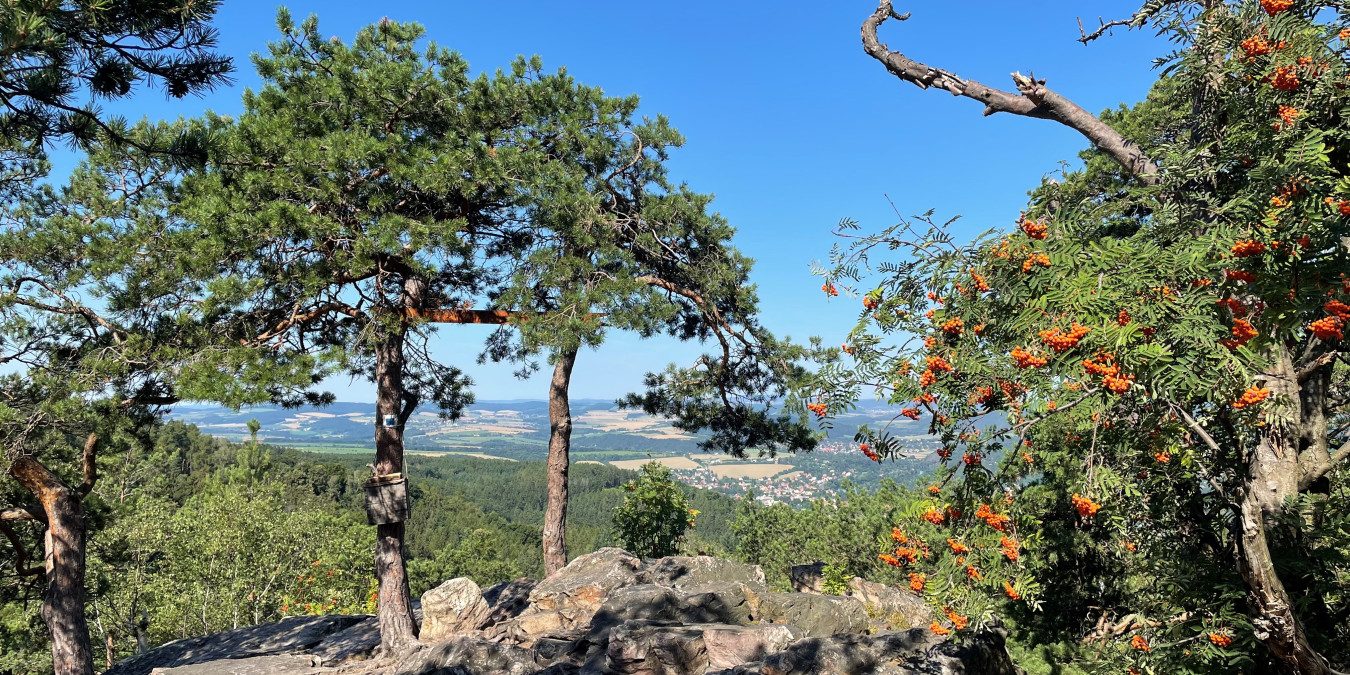 Career Counselling that Includes Trips to the Brdy Mountains and Kunsthalle Prague