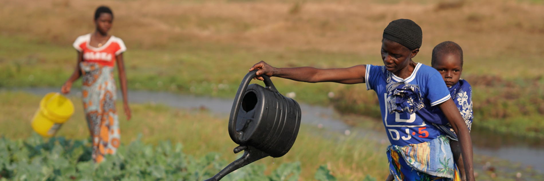 Food and livelihoods systems