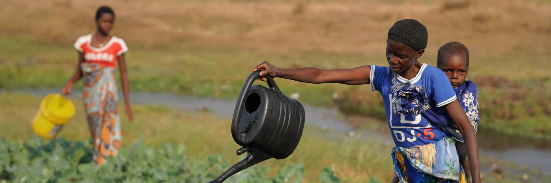 Food and livelihoods systems