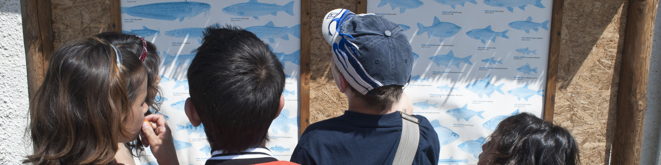 low-threshold club Bilina