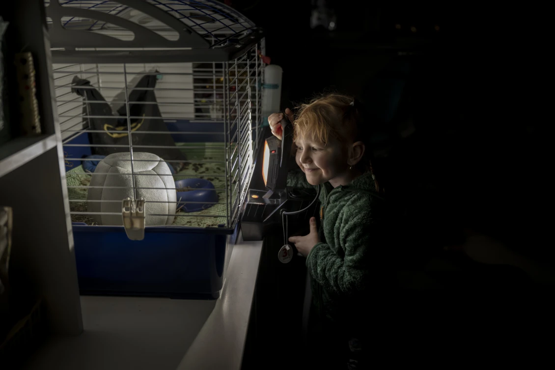 Serafima uses a battery-powered lamp inside her home to check on her guinea pig in its cage during a power outage