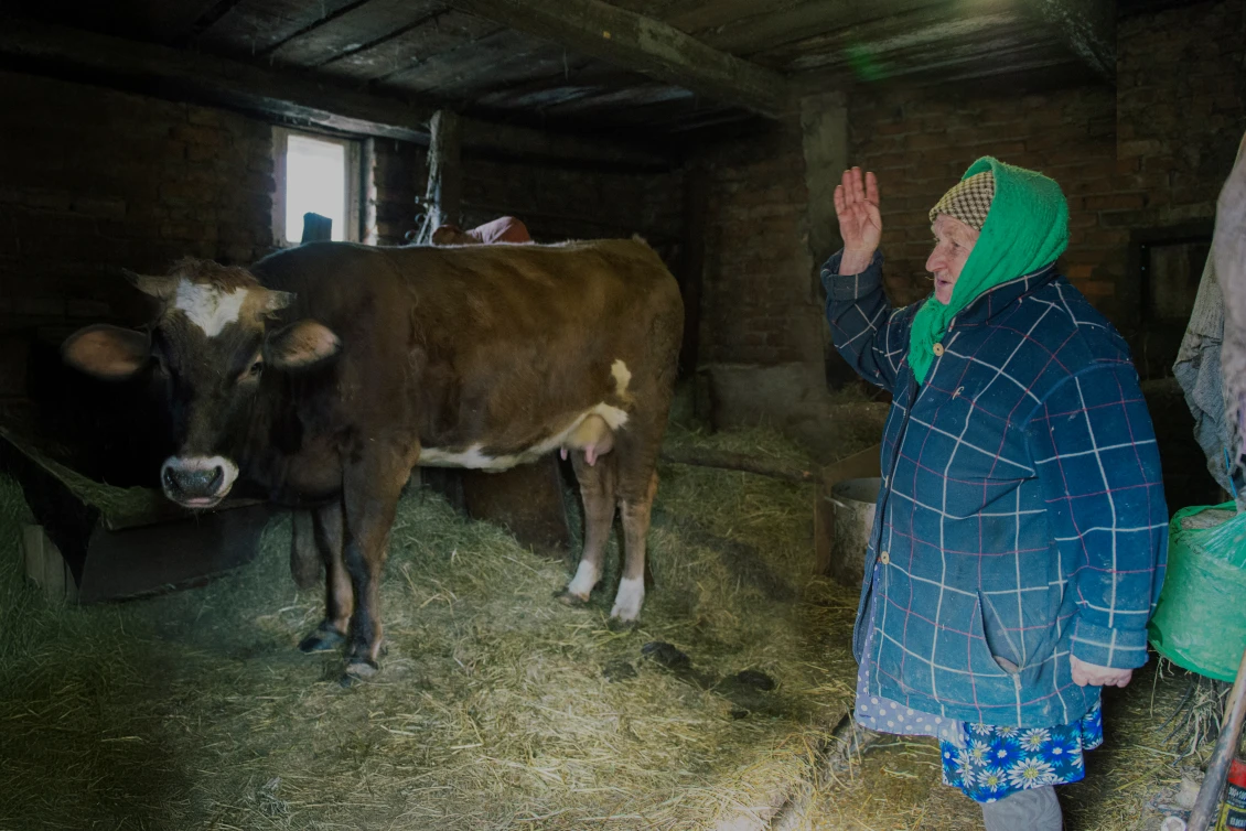 Mariia with her lovely cow 