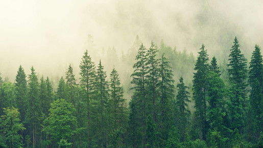Our Environmental Responsibility